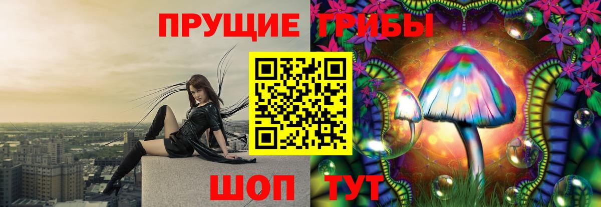 Галлюциногенные грибы мицелий Полевской